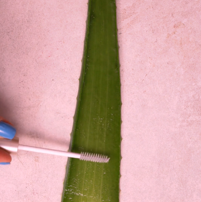  Aloe Vera Mascara